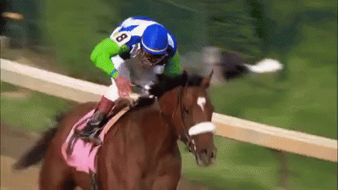 messi turf 12 horse racing gif img